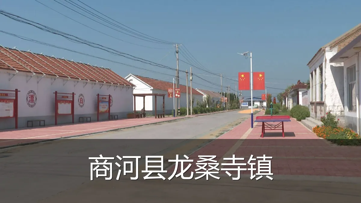 商河县龙桑寺镇